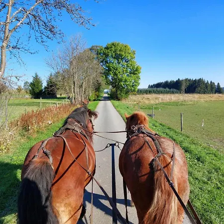 Waldhaus Kustelberg *