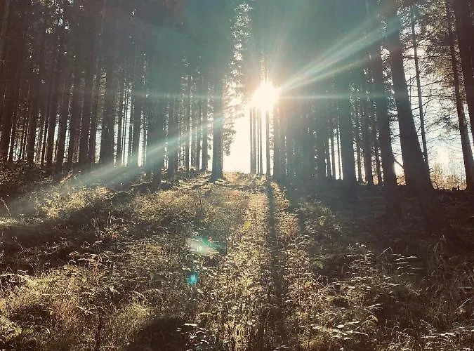 Waldhaus Kustelberg *