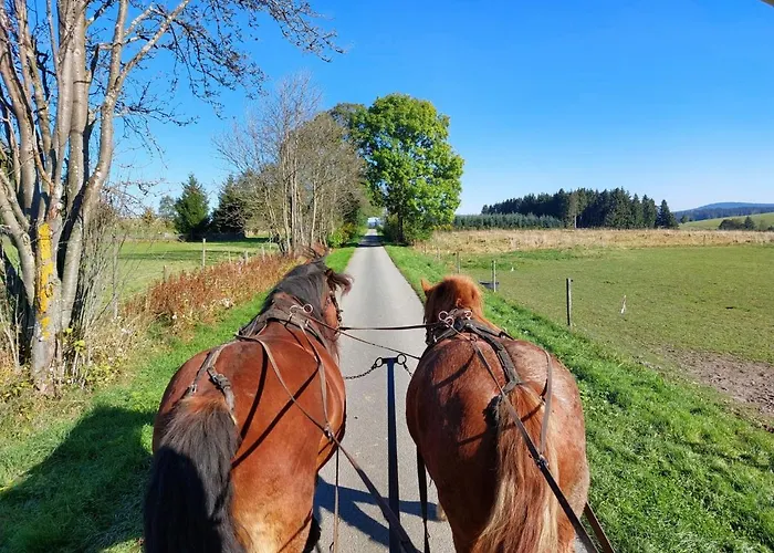 Waldhaus Kustelberg *