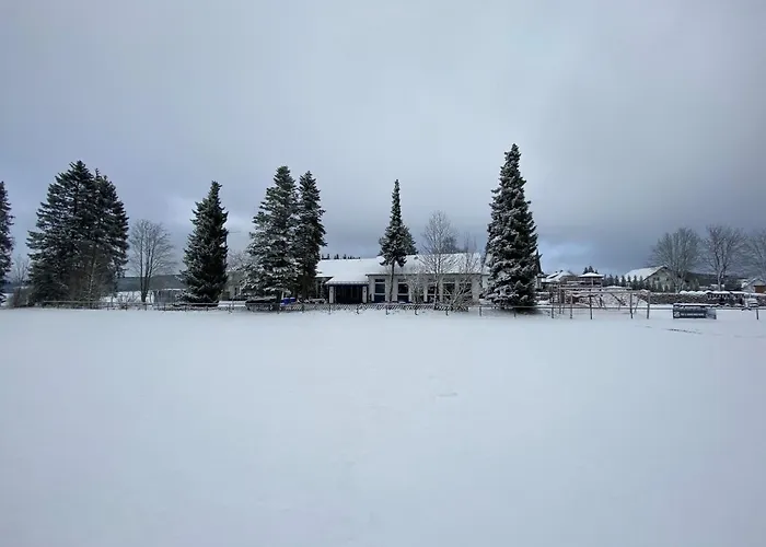Feriehus Waldhaus Kustelberg Medebach
