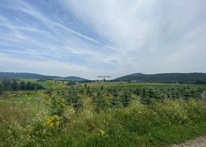 Waldhaus Kustelberg Nyaraló Medebach